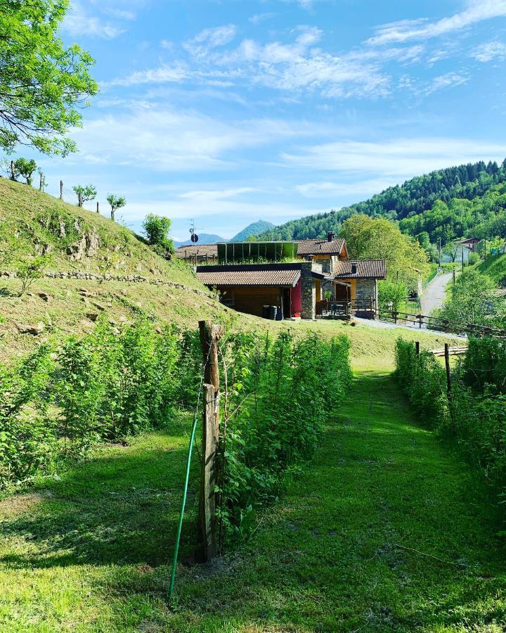 Agriturismo Il Talento Nella Quiete 카스티글리오네 딜렌텔비 외부 사진
