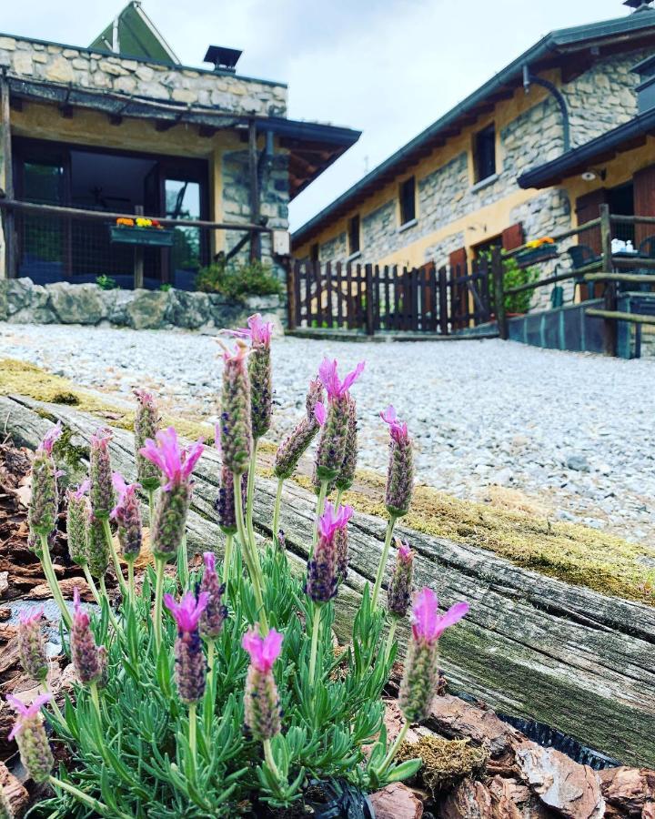 Agriturismo Il Talento Nella Quiete 카스티글리오네 딜렌텔비 외부 사진