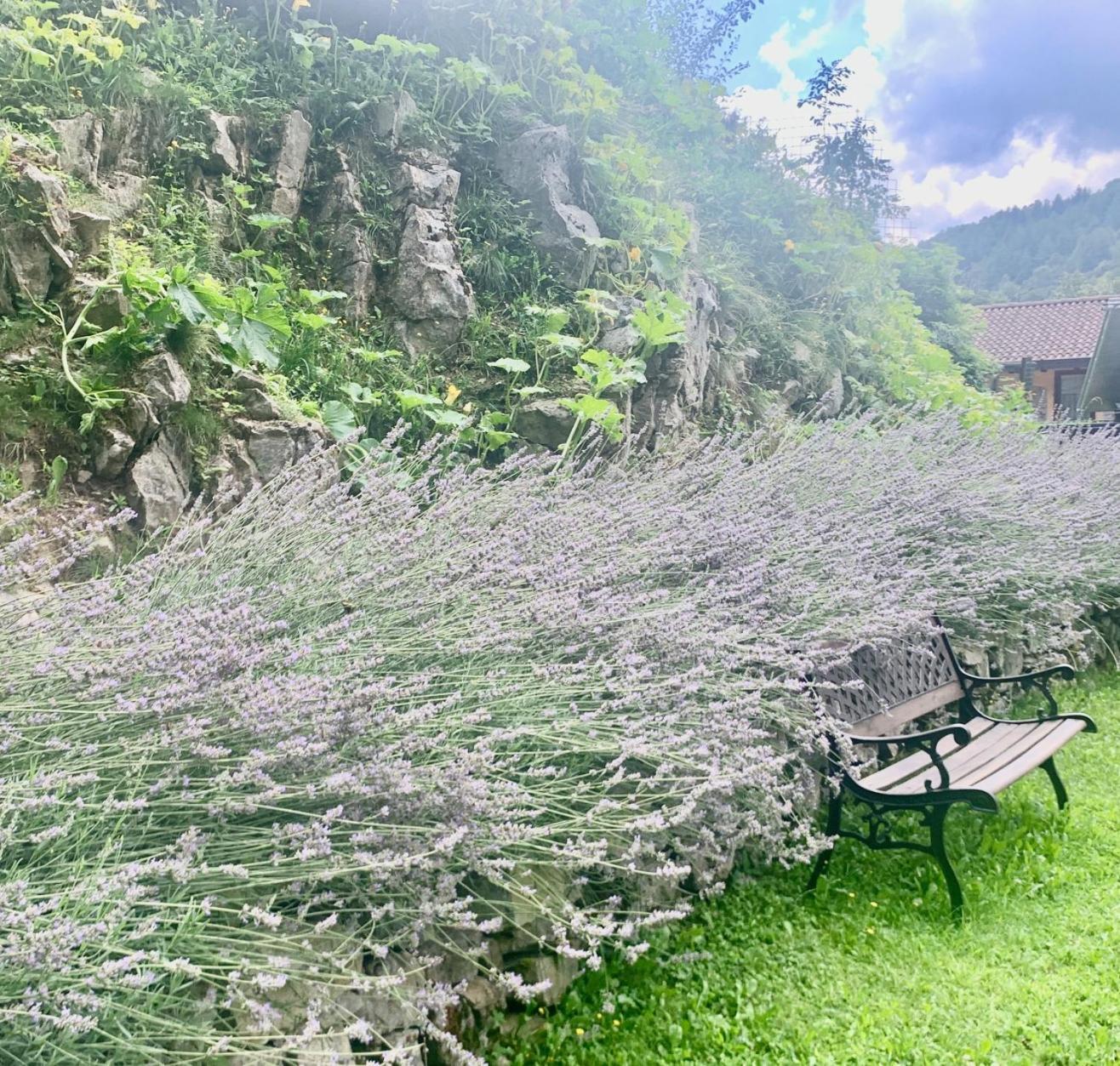 Agriturismo Il Talento Nella Quiete 카스티글리오네 딜렌텔비 외부 사진
