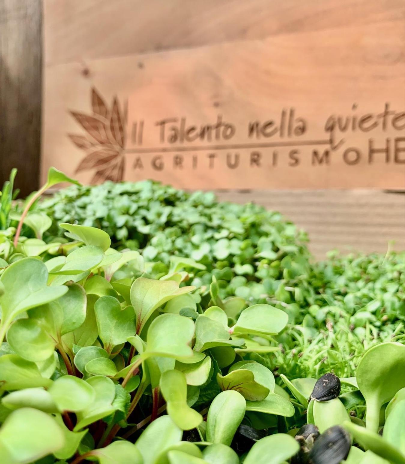 Agriturismo Il Talento Nella Quiete 카스티글리오네 딜렌텔비 외부 사진
